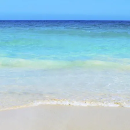 The Ultimate 5 Star Holiday In With Private Pool And Close To The Beach, 1199 * 파라림니